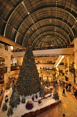Christmas Tree in the Main Atrium